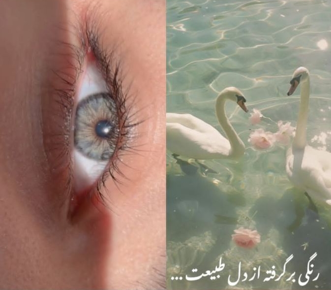 لنز کلوپاترا گری برند یونیک